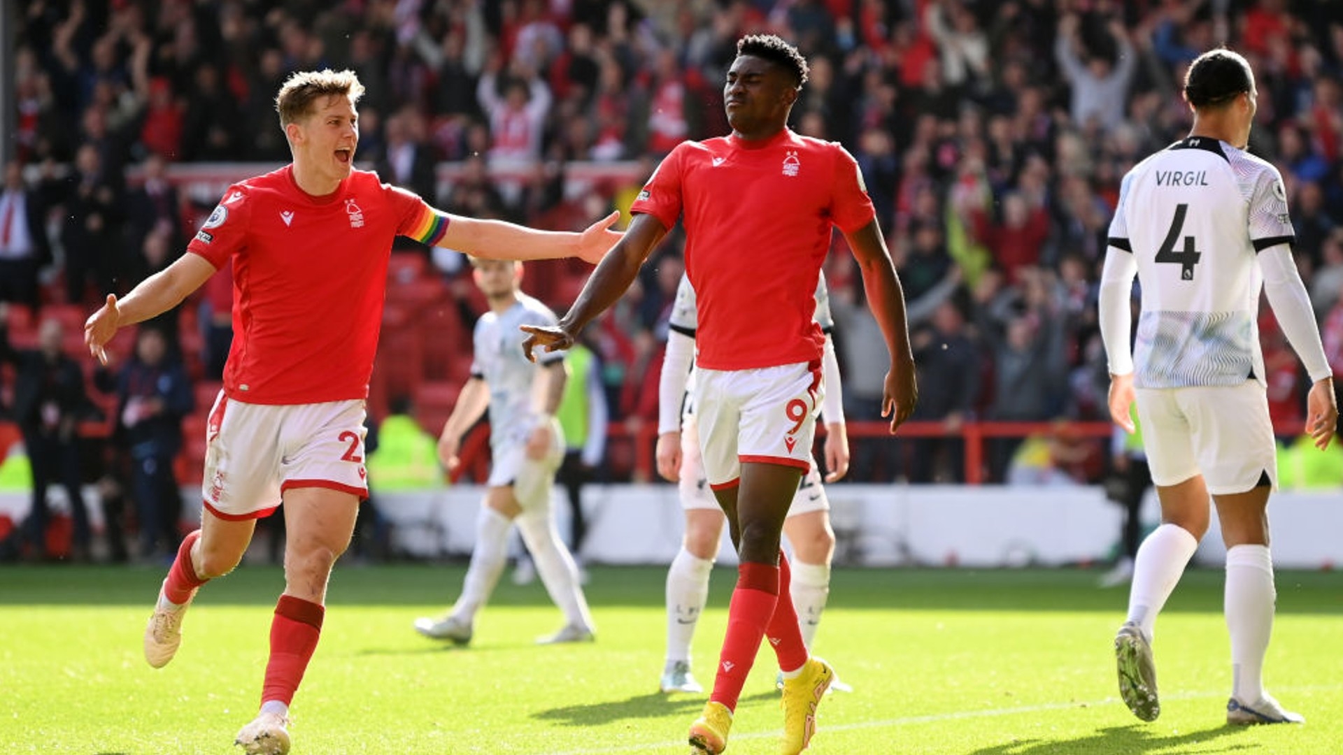 坛的顶级球 坛的顶级球